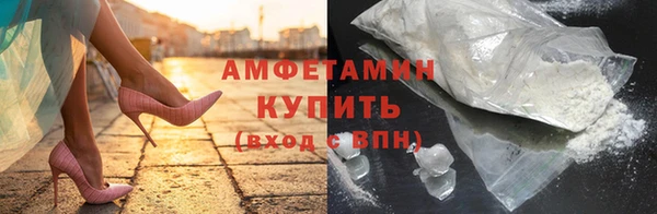 шишки Белокуриха