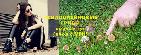 гидра Белоозёрский