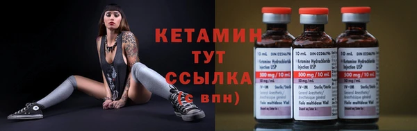 шишки Белокуриха