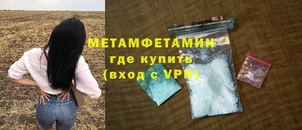 шишки Белокуриха