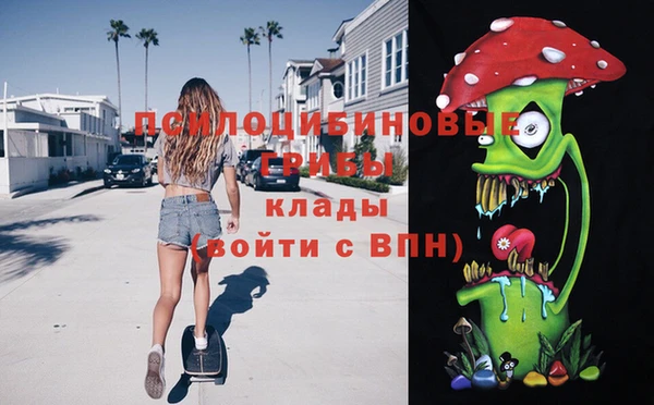 гидра Белоозёрский