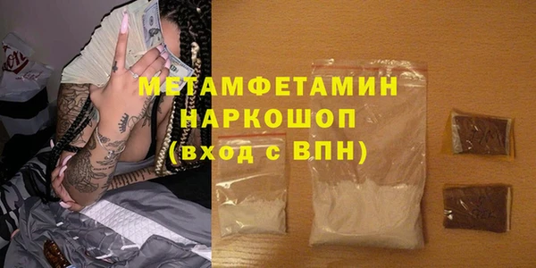 шишки Белокуриха