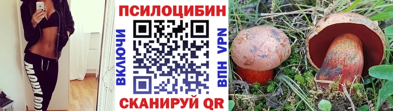 где продают наркотики  Ессентукская  Псилоцибиновые грибы прущие грибы 