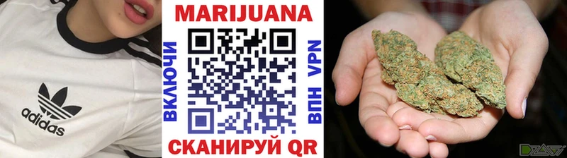 Каннабис SATIVA & INDICA Ессентукская